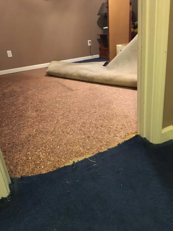 Carpet pad removal revealing water damage during Drying & Dehumidification in McKeesport